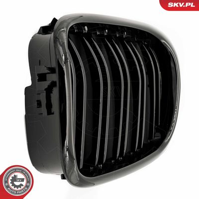 GRILA RADIATOR ESEN SKV 66SKV161 4