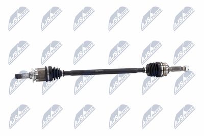 PLANETARA NTY NPWCH094 6