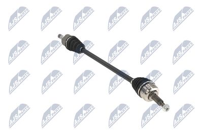 PLANETARA NTY NPWRE113 31