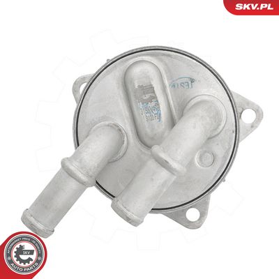 Oleja chladič, motorový olej SKV 31SKV479