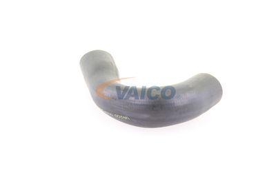 FURTUN EAR SUPRAALIMENTARE VAICO V103830 39