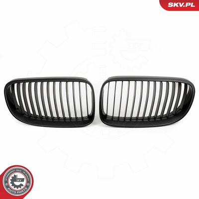 GRILA RADIATOR ESEN SKV 66SKV113 10