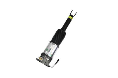 LUFTFEDERBEIN Arnott AS2958 60