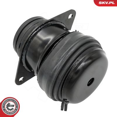Zavěšení motoru ESEN SKV 75SKV241