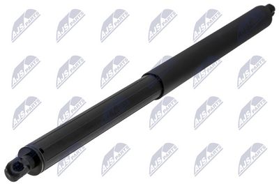 Dujinė spyruoklė, bagažinė