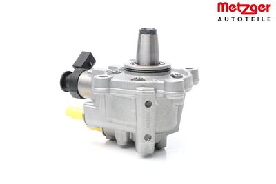 POMPA DE INALTA PRESIUNE METZGER AUTOTEILE 0830176 25