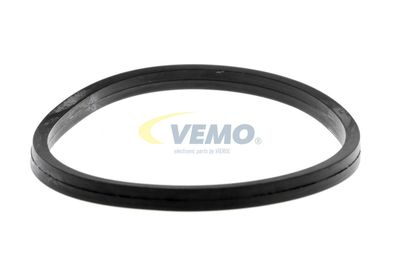 GARNITURA TERMOSTAT VEMO V30999005 49