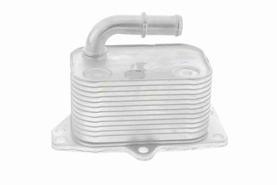 ÖLKüHLER MOTORöL VEMO V42600005 6