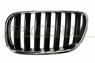 GRILA RADIATOR PRASCO BM8032004