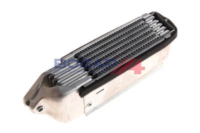 RADIATOR ULEI ULEI MOTOR BOGAP A4222105 4
