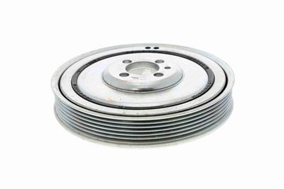 FULIE CUREA ARBORE COTIT VAICO V240025 2