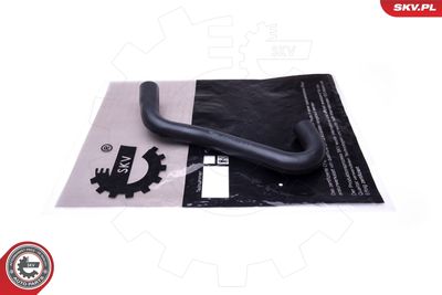 Radiator Hose 43SKV875