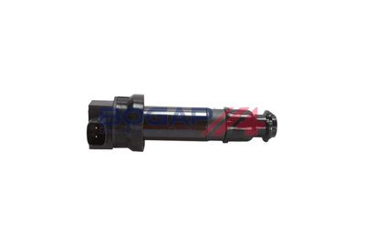 BOBINA DE INDUCTIE BOGAP Y1511104 3