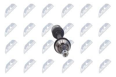 PLANETARA NTY NPWCH161 15