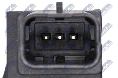 SUPAPA EGR NTY EGRPE019 6