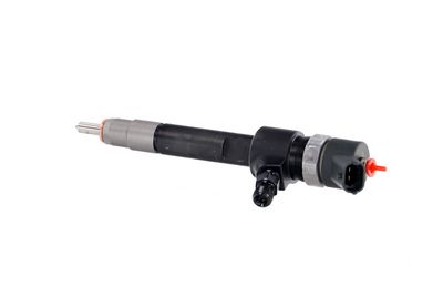 INJECTOR REMANTE 002003001695R 15
