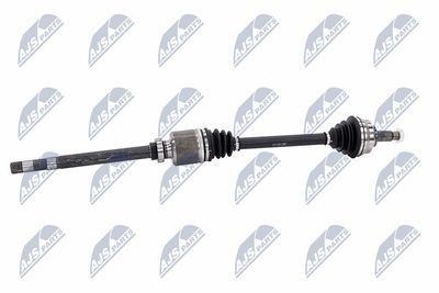 PLANETARA NTY NPWCT181 5