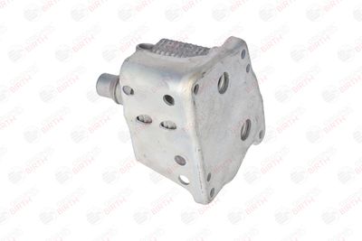 RADIATOR ULEI ULEI MOTOR BIRTH 80136 5
