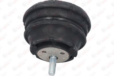 SUPORT MOTOR BIRTH 50124 12