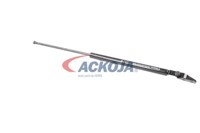 AMORTIZOR PORTBAGAJ ACKOJA A320092 41