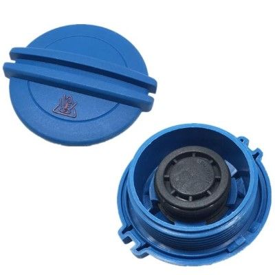 BUSON VAS EXPANSIUNE