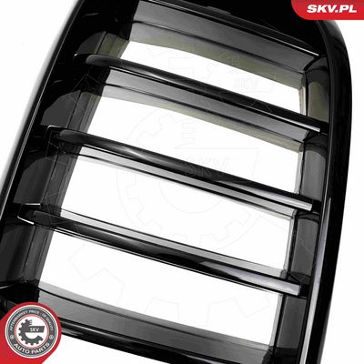 GRILA RADIATOR ESEN SKV 66SKV294 7