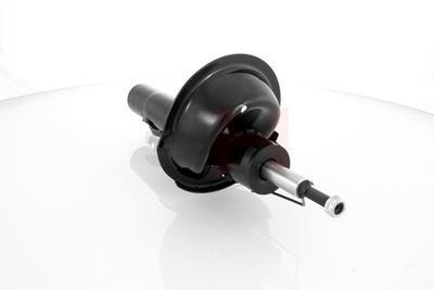 AMORTIZOR GH GH352561 21