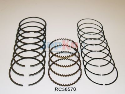 SEGMENT PISTON