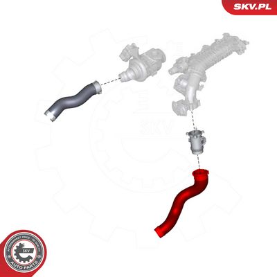 Kompresoriaus padavimo žarna