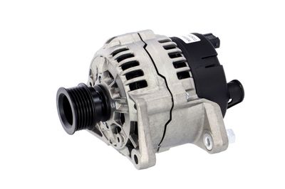 GENERATOR / ALTERNATOR REMANTE 011003000110R 8