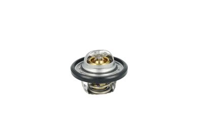 TERMOSTAT LICHID RACIRE NRF 725544 20