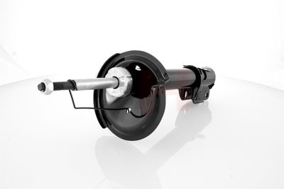 AMORTIZOR GH GH359365 11