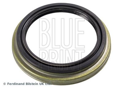 BLUE PRINT Veleno sandariklis, rato guolis