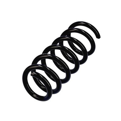 ARC SPIRAL EIBACH R23129 3