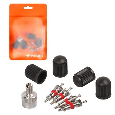 Комплект золотников, сервисный нипель Airline ATRS010