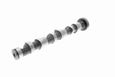 AX CU CAME VAICO V100869 8