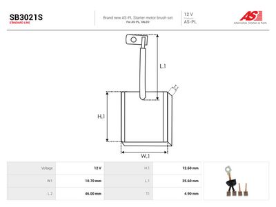 Uhlíkový kartáč, startér AS-PL SB3021S