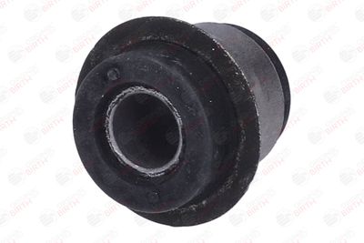 SUPORT TRAPEZ BIRTH 2008 2