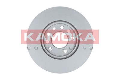 Brake Disc 1032082