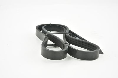 CUREA TRANSMISIE CU CANELURI FEBEST 881264L845 36