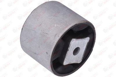 SUPORT MOTOR BIRTH 53418 12