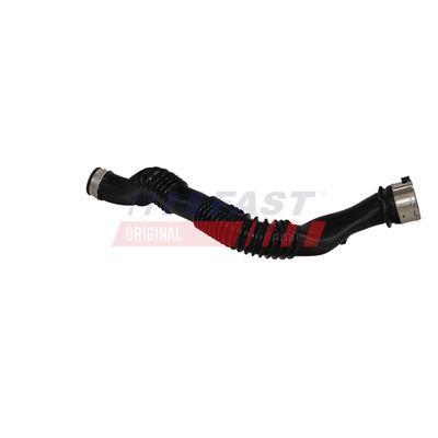 FURTUN EAR SUPRAALIMENTARE FAST FT01062 12