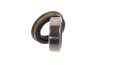 SET RULMENT ROATA SKF VKBA6681 9