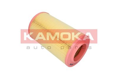 Air Filter F236301