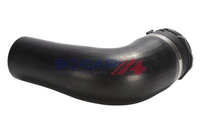 FURTUN EAR SUPRAALIMENTARE BOGAP B1711158 2