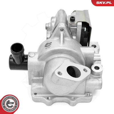 ESEN SKV - AGR - Ventil HYUNDAI, KIA , 14SKV280