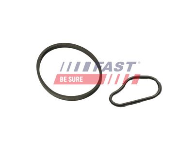 GARNITURA POMPA VACUUM FAST FT48943 1