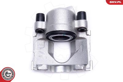 Brake Caliper 56SKV262