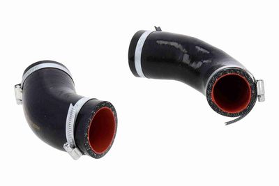 FURTUN EAR SUPRAALIMENTARE