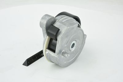 INTINZATOR CUREA CUREA DISTRIBUTIE FEBEST 2790XC70 19